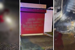 Dramat w hodowli. Zwierzęta umierały w cierpieniu. Policja ma podejrzanego-68714