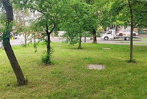 Toruń | Fala plotek po zbrodni w Parku Glazja. Prokuratura prostuje informacje-68723