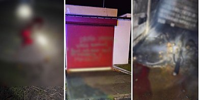 Dramat w hodowli. Zwierzęta umierały w cierpieniu-68714