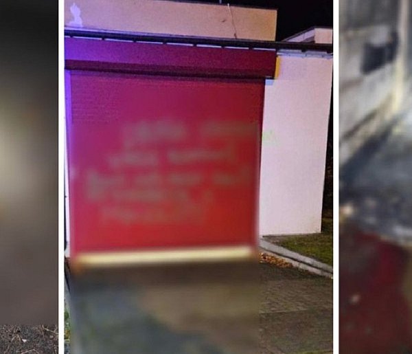 Dramat w hodowli. Zwierzęta umierały w cierpieniu. Policja ma podejrzanego-68714