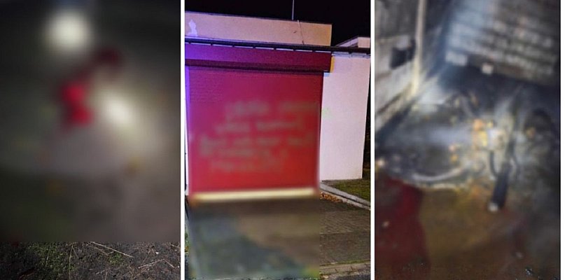 Dramat w hodowli. Zwierzęta umierały w cierpieniu. Policja ma podejrzanego - 68714