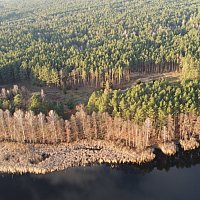 zdjecie ogloszenia