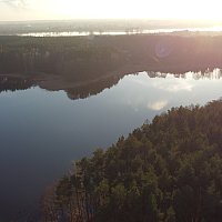 zdjecie ogloszenia