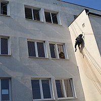 zdjecie ogloszenia