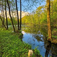 zdjecie ogloszenia