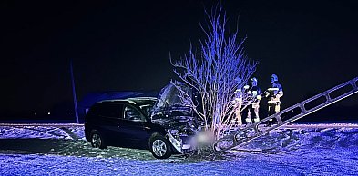 Chciał ominąć sarny. Auto wypadło z drogi i uderzyło w słup [FOTO]