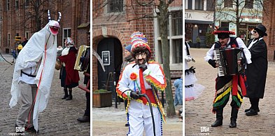 Niby nie Kujawy, ale KOZA musi być! Zobaczcie, co działo się na starówce