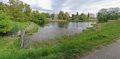 Kaszownik czeka na zmiany. Miasto zaprasza na ważne spotkanie