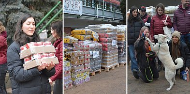 5 ton karmy już w Toruniu. Schronisko świętuje wielkie zwycięstwo