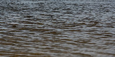 Alarm hydrologiczny w okolicy Torunia. Ostrzeżenie II stopnia