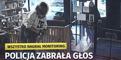 Próba kradzieży kota w Toruniu. Policja zabrała głos [WIDEO]