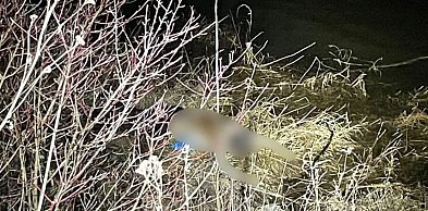 Makabryczne odkrycie w Wiśle. Znaleziono zwłoki mężczyzny