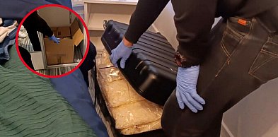 Narkotyki za ponad 7 milionów! Policja odkryła "magazyn" w bloku