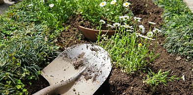 Miasto szykuje się na wiosnę. Trwają intensywne prace w parkach i na bulwarach