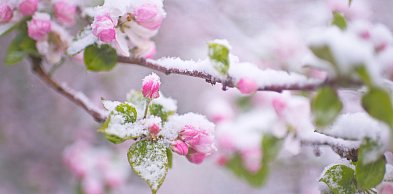 Tydzień pod znakiem kontrastów. Pogoda w Toruniu szykuje konkretny zwrot