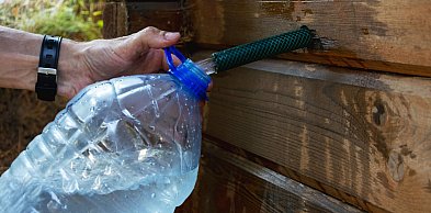 Śmigus-dyngus w Toruniu z limitem. Za dużo wody może kosztować!