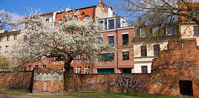 Piękna Niedziela Wielkanocna, ale co dalej? Mamy pewne prognozy