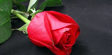 Ostatnie pożegnania mieszkańców. Zebraliśmy nekrologi z ostatnich dni