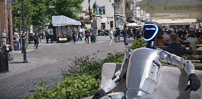 Viralowy robot z internetu wychodzi na ulice Torunia. Spotkasz go w tych...
