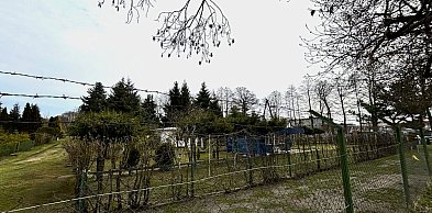 Boryszew zabiera głos w sprawie ROD na Elanie. Padły ważne deklaracje