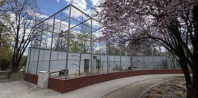 Nietypowa sytuacja w podtoruńskim uzdrowisku. Ptaki... wstrzymane