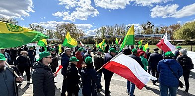 Wyszli na ulice i nie zamierzają odpuścić. Działkowcy z Elany wciąż walczą [FOTO]