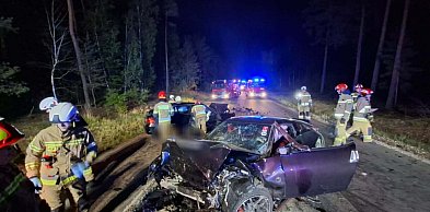 Nocna kraksa na leśnej drodze. Cztery osoby zostały ranne