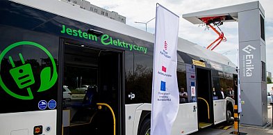 Jeszcze niedawno były nowością. Dziś przejmują ulice Torunia
