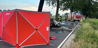 Samochód uderzył w drzewo i stanął w ogniu. Kierowca nie żyje [FOTO]
