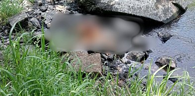 Makabryczne znalezisko nad rzeką. Mieszkanka nie kryła oburzenia