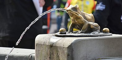 Jedno miasto, kilkanaście wydarzeń. Sobotni Toruń nie zwalnia [HARMONOGRAM]