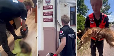 Przynieśli zwłoki do urzędu! Ogólnopolska afera pod Włocławkiem
