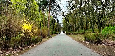 Jedno z najpiękniejszych miejsc w Toruniu przejdzie kolejne zmiany. Park...