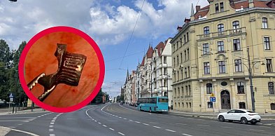 Toruń | "Ten człowiek mógł zabić". Głośna sprawa wróciła do sądu