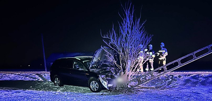 Chciał ominąć sarny. Auto wypadło z drogi i uderzyło w słup [FOTO]