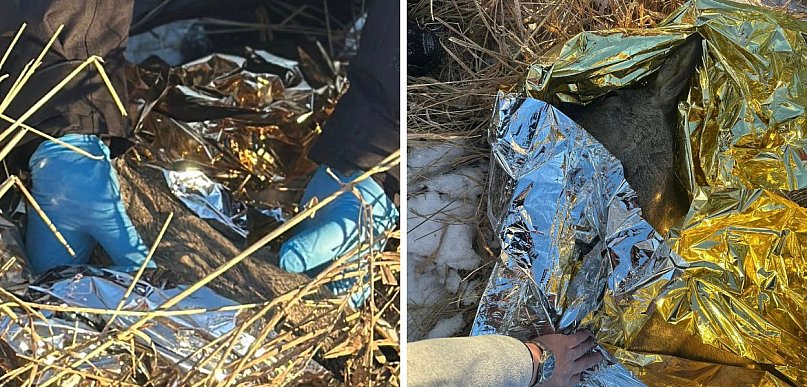 Dramat na zamarzniętej wodzie. Leżała bez ruchu na lodzie. Liczyły się...