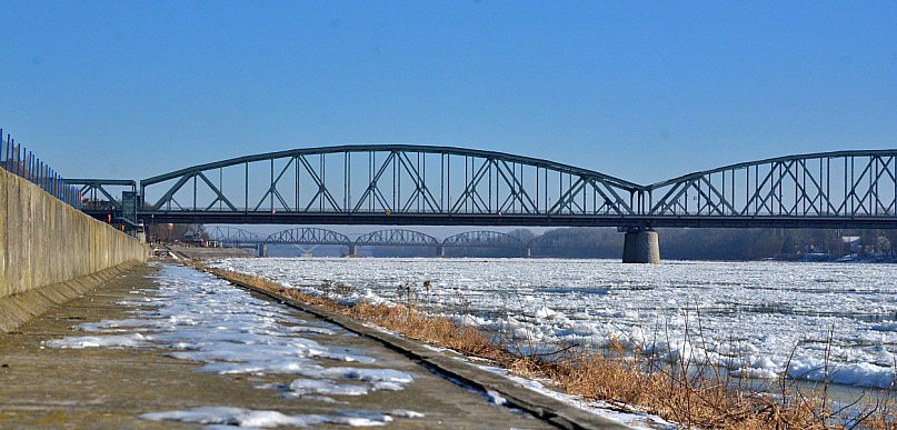 Toruń | To może wydarzyć się już dziś! Wisła za chwilę zniknie pod lodem?
