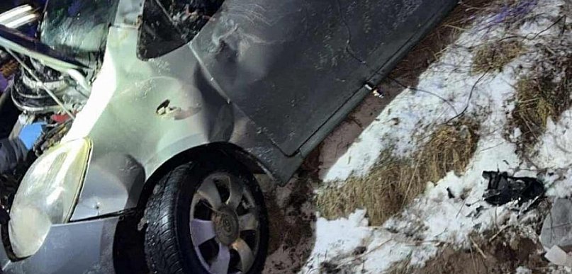 Dachowanie na drodze wojewódzkiej. Auto wypadło z trasy [FOTO]