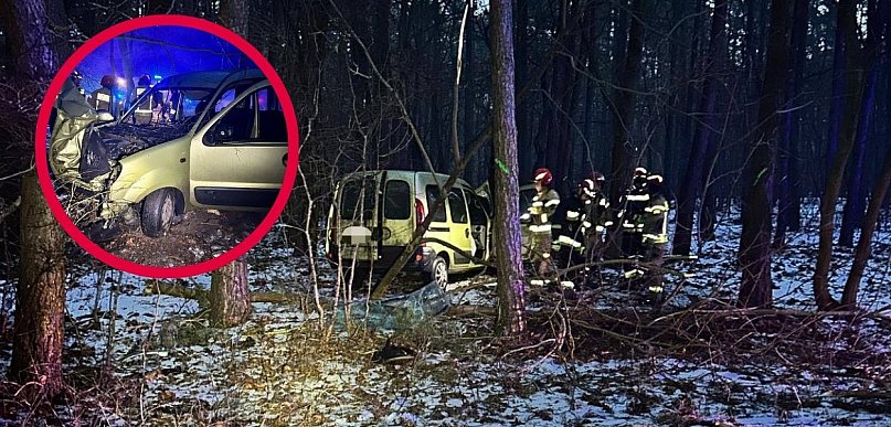 Poranek pod Toruniem przerwał nagły huk. Auto zderzyło się z dzikiem