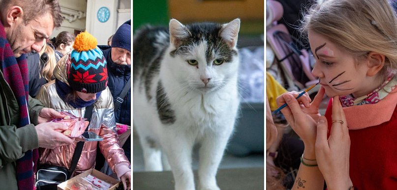 Kocie święto zaczęło się w weekend. Dziś jego kulminacja [FOTO]