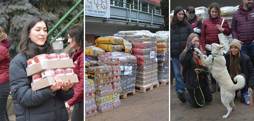 5 ton karmy już w Toruniu. Schronisko świętuje wielkie zwycięstwo