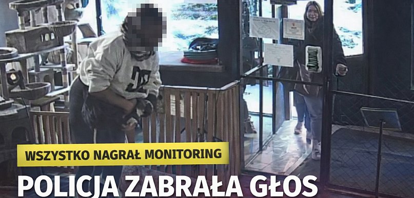 Próba kradzieży kota w Toruniu. Policja zabrała głos [WIDEO]