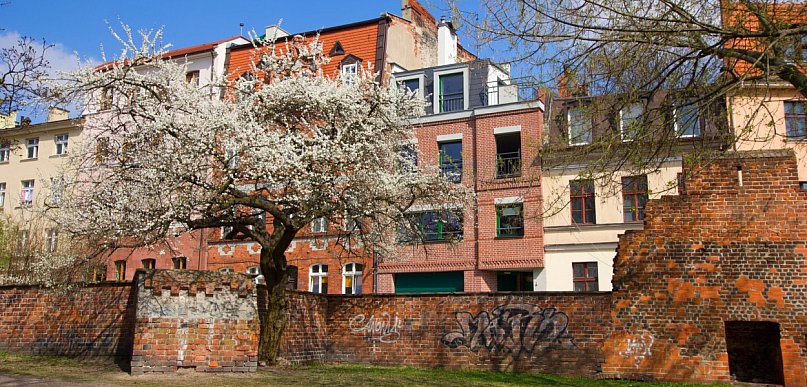 Piękna Niedziela Wielkanocna, ale co dalej? Mamy pewne prognozy