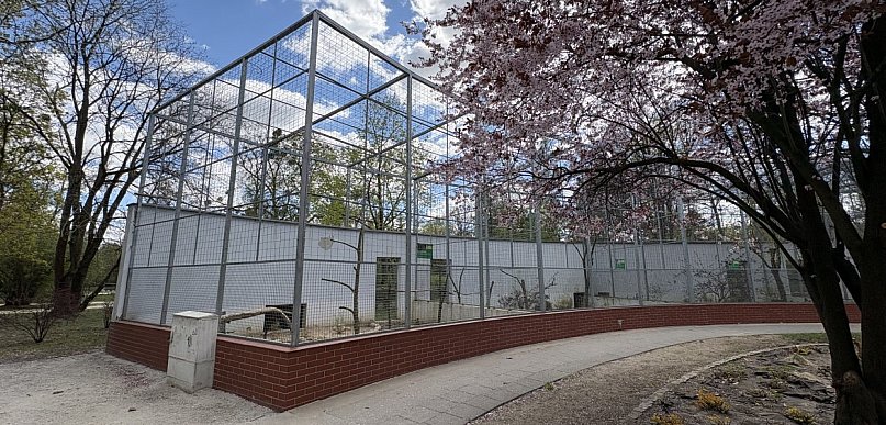 Nietypowa sytuacja w podtoruńskim uzdrowisku. Ptaki... wstrzymane