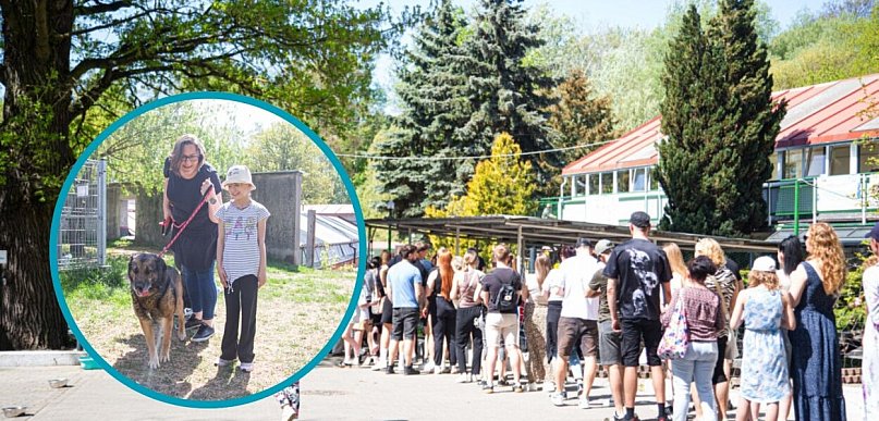 Psy ruszyły na majówkę! Akcja ze schroniska podbiła Toruń [FOTO]