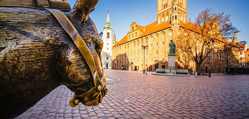 Co robić w Toruniu w niedzielę 31 maja? Dzień Dziecka, żużel i pieski