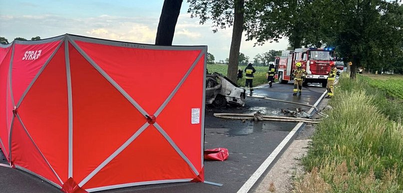 Samochód uderzył w drzewo i stanął w ogniu. Kierowca nie żyje [FOTO]