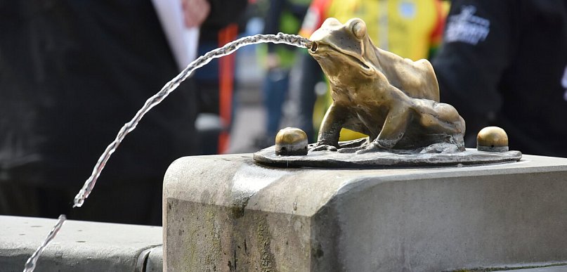 Jedno miasto, kilkanaście wydarzeń. Sobotni Toruń nie zwalnia [HARMONOGRAM]