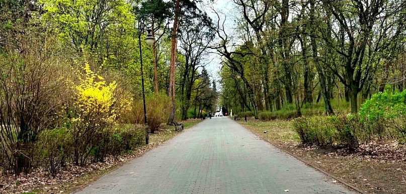 Jedno z najpiękniejszych miejsc w Toruniu przejdzie kolejne zmiany. Park...