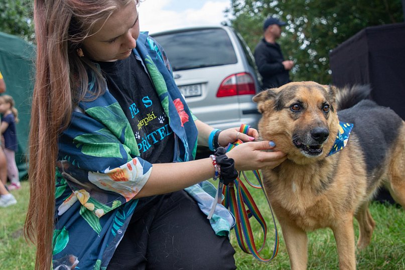 Piknik Przyjaciół Schroniska